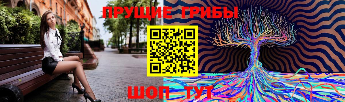 Псилоцибиновые грибы GOLDEN TEACHER  Галлюциногенные грибы прущие грибы  Вход с VPN  Малоярославец 